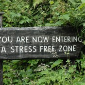 Does Blogging Reduce Stress?