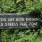 Stress free zone : Blogging