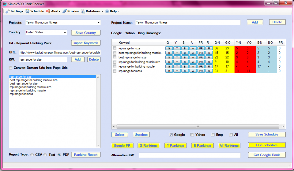 simple-seo-rank-checker