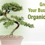 Organic SEO
