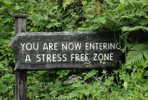 Stress free zone : Blogging