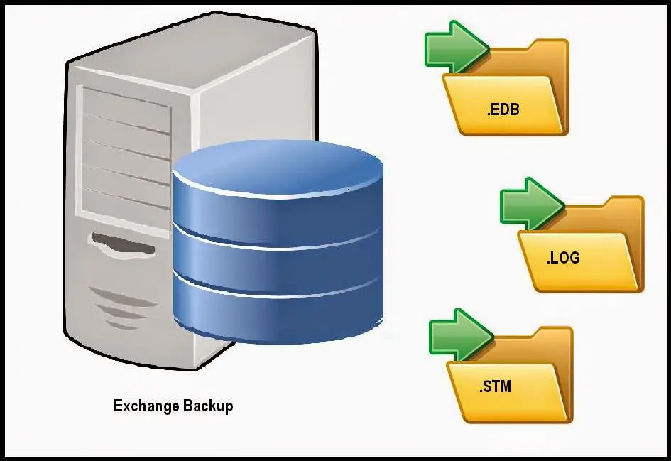 database_server1