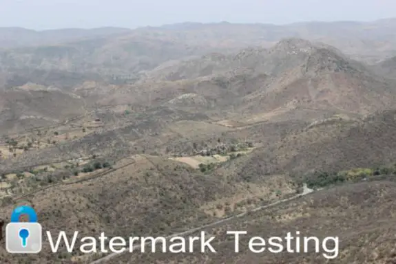 watermark testing_1