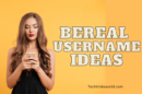 Best BeReal Username Ideas