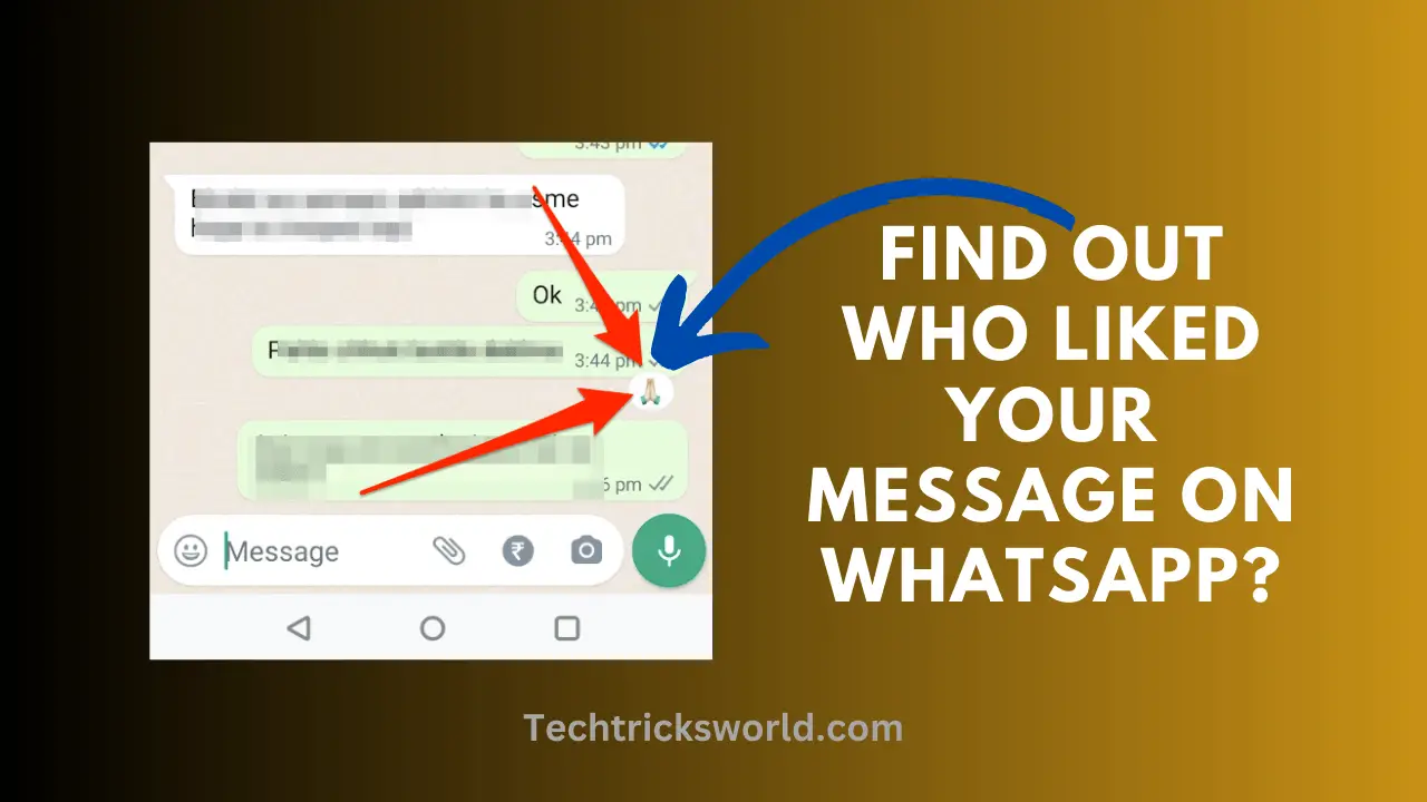 Find Out Who Liked Your Message on WhatsApp