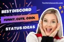 Discord Status Ideas That Are Funny, Cute, and Cool