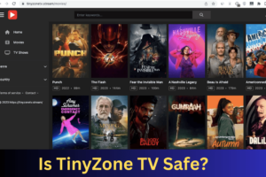 Is TinyZone TV Safe