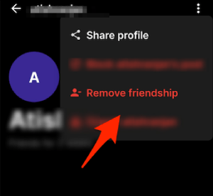 remove friendship - Bereal